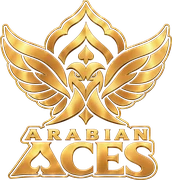Arabian Aces